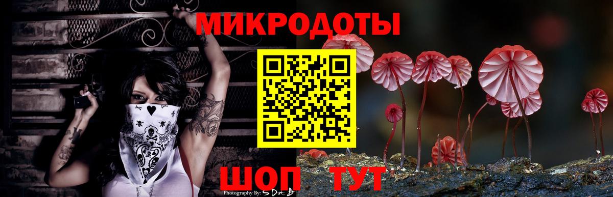 Камышлов  Галлюциногенные грибы MAGIC MUSHROOMS  цена наркотик  Вход с VPN 