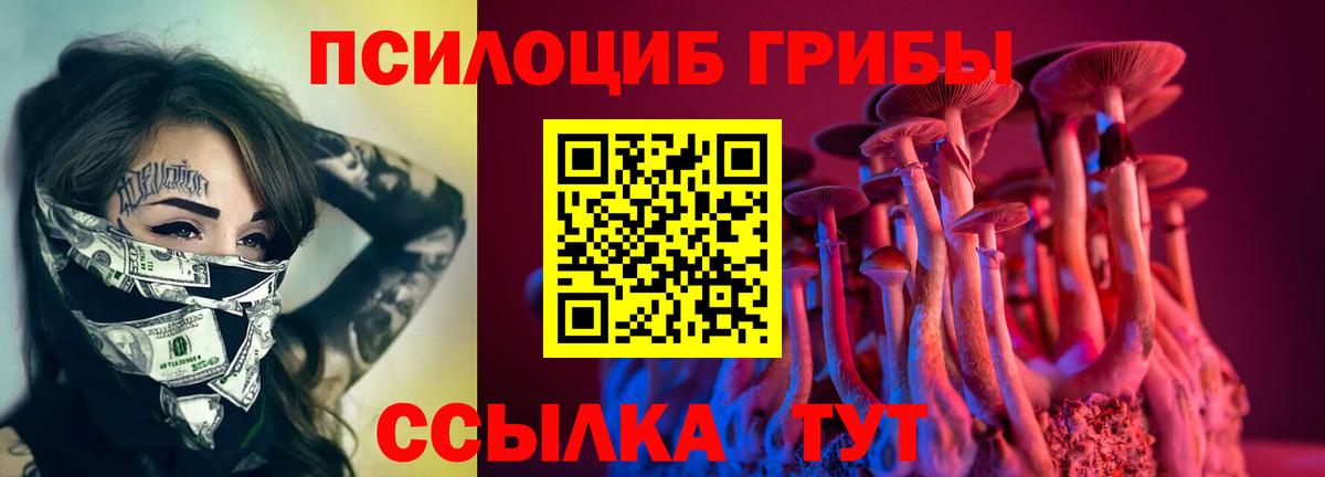 Псилоцибиновые грибы GOLDEN TEACHER Камышлов