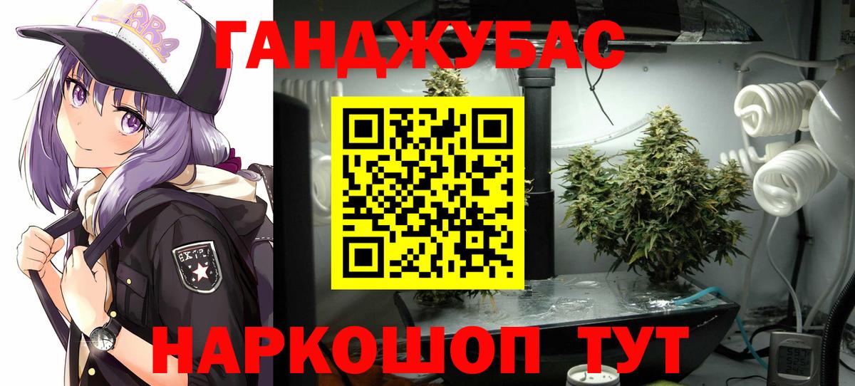 Канабис VHQ  Бошки марихуана планчик  Вход с VPN  Конопля планчик  Камышлов 